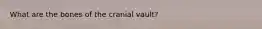 What are the bones of the cranial vault?