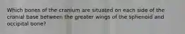 Which bones of the cranium are situated on each side of the cranial base between the greater wings of the sphenoid and occipital bone?