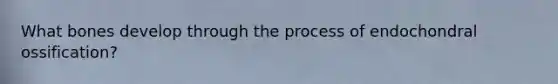 What bones develop through the process of endochondral ossification?