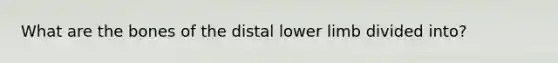 What are the bones of the distal lower limb divided into?