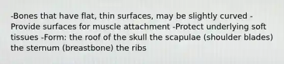 -Bones that have flat, thin surfaces, may be slightly curved -Provide surfaces for muscle attachment -Protect underlying soft tissues -Form: the roof of the skull the scapulae (shoulder blades) the sternum (breastbone) the ribs