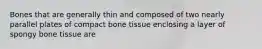 Bones that are generally thin and composed of two nearly parallel plates of compact bone tissue enclosing a layer of spongy bone tissue are