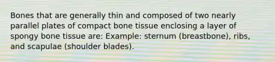 Bones that are generally thin and composed of two nearly parallel plates of compact bone tissue enclosing a layer of spongy bone tissue are: Example: sternum (breastbone), ribs, and scapulae (shoulder blades).