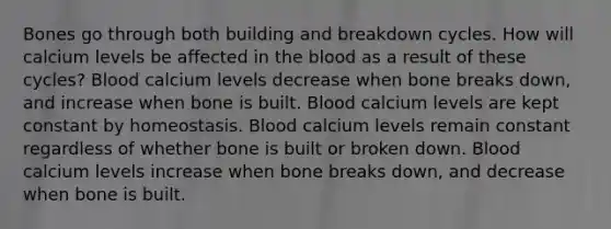 Bones go through both building and breakdown cycles. How will calcium levels be affected in the blood as a result of these cycles? Blood calcium levels decrease when bone breaks down, and increase when bone is built. Blood calcium levels are kept constant by homeostasis. Blood calcium levels remain constant regardless of whether bone is built or broken down. Blood calcium levels increase when bone breaks down, and decrease when bone is built.