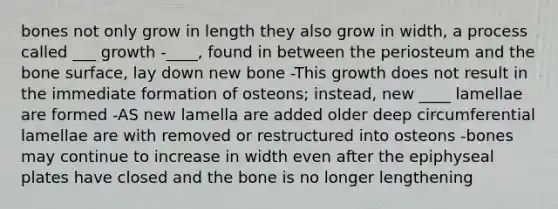 bones not only grow in length they also grow in width, a process called ___ growth -____, found in between the periosteum and the bone surface, lay down new bone -This growth does not result in the immediate formation of osteons; instead, new ____ lamellae are formed -AS new lamella are added older deep circumferential lamellae are with removed or restructured into osteons -bones may continue to increase in width even after the epiphyseal plates have closed and the bone is no longer lengthening