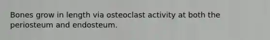 Bones grow in length via osteoclast activity at both the periosteum and endosteum.