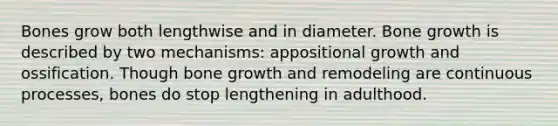 Bones grow both lengthwise and in diameter. Bone growth is described by two mechanisms: appositional growth and ossification. Though bone growth and remodeling are continuous processes, bones do stop lengthening in adulthood.