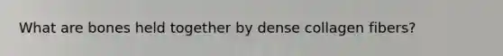 What are bones held together by dense collagen fibers?