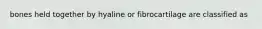 bones held together by hyaline or fibrocartilage are classified as