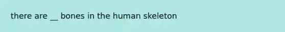 there are __ bones in the human skeleton