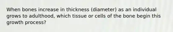 When bones increase in thickness (diameter) as an individual grows to adulthood, which tissue or cells of the bone begin this growth process?