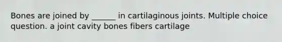 Bones are joined by ______ in cartilaginous joints. Multiple choice question. a joint cavity bones fibers cartilage