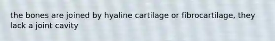 the bones are joined by hyaline cartilage or fibrocartilage, they lack a joint cavity