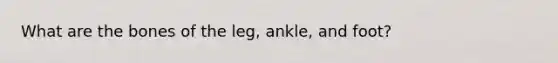 What are the bones of the leg, ankle, and foot?