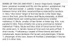 BONES OF THE LEG AND FOOT 1. femur: thigh bone; longest bone. proximal rounded end fits into the pelvis= acetabulum. hip joint= ball-and-socket. 2. patella: kneecap; small, flat bone between femur and tibia. sesamoid bone protected by tendons. 3. tibia: "shin bone" larger of the two bones in the lower legs, runs in the front, joins the femur and fibula proximally. at distal end (ankle) flares out creating bony prominence (medial malleolus) 4. fibula: smaller of two bones in lower leg, thin, runs parallel to tibia. flares distally into a bony prominence (lateral malleolus) **tibia, fibula and talus (first of tarsal bones) forms the ankle joint. 5. tarsals: bones of hind and mid parts of foot; 7 short bones. **calcaneus= largest of these bones aka heel 6. metatarsals: bones between the tarsals and phalanges; 5 bones 7. phalanges of the toes: bones of forefoot 2 phalanges in big toe and 3 in other toes.