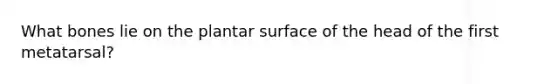 What bones lie on the plantar surface of the head of the first metatarsal?