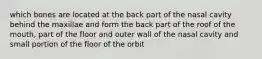 which bones are located at the back part of the nasal cavity behind the maxillae and form the back part of the roof of the mouth, part of the floor and outer wall of the nasal cavity and small portion of the floor of the orbit