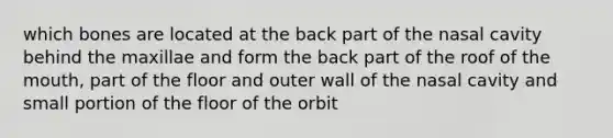 which bones are located at the back part of the nasal cavity behind the maxillae and form the back part of the roof of <a href='https://www.questionai.com/knowledge/krBoWYDU6j-the-mouth' class='anchor-knowledge'>the mouth</a>, part of the floor and outer wall of the nasal cavity and small portion of the floor of the orbit