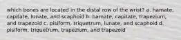 which bones are located in the distal row of the wrist? a. hamate, capitate, lunate, and scaphoid b. hamate, capitate, trapezium, and trapezoid c. pisiform, triquetrum, lunate, and scaphoid d. pisiform, triquetrum, trapezium, and trapezoid