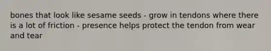 bones that look like sesame seeds - grow in tendons where there is a lot of friction - presence helps protect the tendon from wear and tear