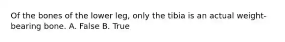 Of the bones of the lower leg, only the tibia is an actual weight-bearing bone. A. False B. True