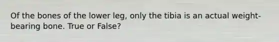 Of the bones of the lower leg, only the tibia is an actual weight-bearing bone. True or False?