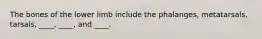 The bones of the lower limb include the phalanges, metatarsals, tarsals, ____, ____, and ____.