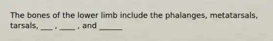 The bones of the lower limb include the phalanges, metatarsals, tarsals, ___ , ____ , and ______