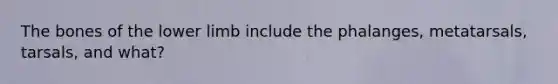The bones of the lower limb include the phalanges, metatarsals, tarsals, and what?