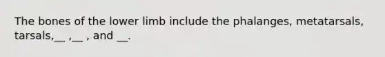 The bones of the lower limb include the phalanges, metatarsals, tarsals,__ ,__ , and __.