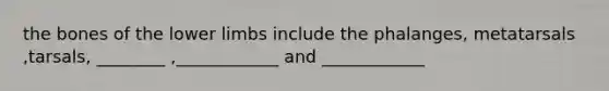 the bones of the lower limbs include the phalanges, metatarsals ,tarsals, ________ ,____________ and ____________