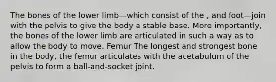 The bones of the lower limb—which consist of the , and foot—join with the pelvis to give the body a stable base. More importantly, the bones of the lower limb are articulated in such a way as to allow the body to move. Femur The longest and strongest bone in the body, the femur articulates with the acetabulum of the pelvis to form a ball-and-socket joint.