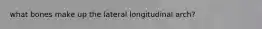 what bones make up the lateral longitudinal arch?