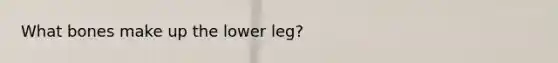 What bones make up the lower leg?