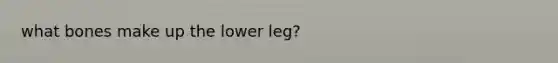 what bones make up the lower leg?