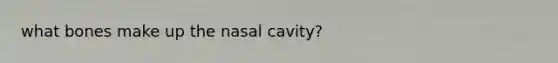 what bones make up the nasal cavity?