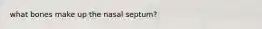 what bones make up the nasal septum?