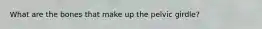 What are the bones that make up the pelvic girdle?