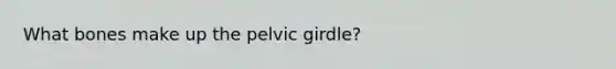 What bones make up the pelvic girdle?