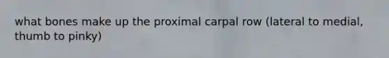 what bones make up the proximal carpal row (lateral to medial, thumb to pinky)
