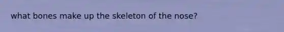 what bones make up the skeleton of the nose?