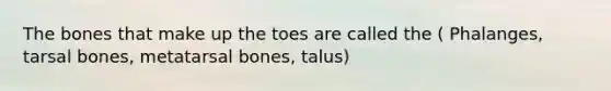 The bones that make up the toes are called the ( Phalanges, tarsal bones, metatarsal bones, talus)