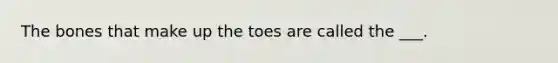 The bones that make up the toes are called the ___.