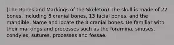 (The Bones and Markings of the Skeleton) The skull is made of 22 bones, including 8 cranial bones, 13 facial bones, and the mandible. Name and locate the 8 cranial bones. Be familiar with their markings and processes such as the foramina, sinuses, condyles, sutures, processes and fossae.