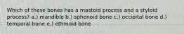 Which of these bones has a mastoid process and a styloid process? a.) mandible b.) sphenoid bone c.) occipital bone d.) temporal bone e.) ethmoid bone