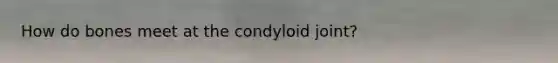 How do bones meet at the condyloid joint?