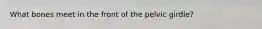 What bones meet in the front of the pelvic girdle?