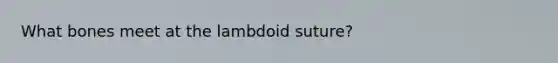 What bones meet at the lambdoid suture?