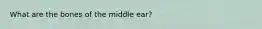What are the bones of the middle ear?