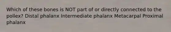 Which of these bones is NOT part of or directly connected to the pollex? Distal phalanx Intermediate phalanx Metacarpal Proximal phalanx